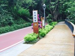 -金鸡山公园