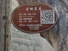 -康百万庄园