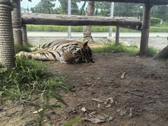 -西霞口神雕山野生动物世界