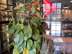 -徐记私厨(半淞园路店)