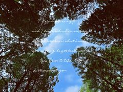 景点-广州珠江公园