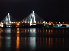 -万绿园