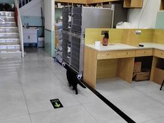 -中农大我爱我爱动物医院·核磁CT·猫病·24小时夜诊中心(石佛营店)