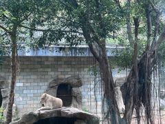 -福州动物园