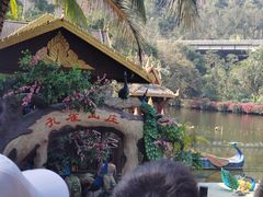 -西双版纳原始森林公园