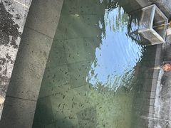 -扬州瘦西湖温泉
