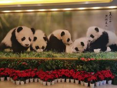 -成都驻京办餐厅(蜀都宾馆店)