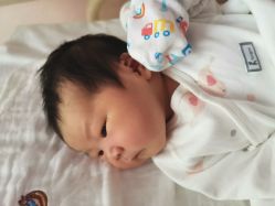 -复旦大学附属妇产科医院(杨浦院区)