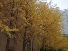 -辽宁大学(崇山校区)
