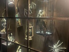 -逃脱反斗城沉浸剧情密室(阳光新业中心店)