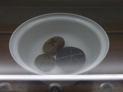 DSCF6976-仪征博物馆