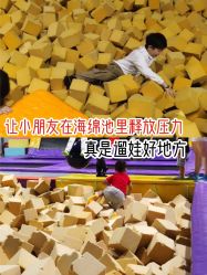 -飞跃蹦床乐园(南山科技园店)