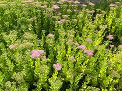 -北京邮电会议中心