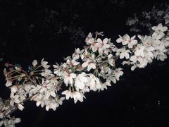 -仙林中心(地铁站)