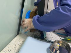 -半岛宠物医院24小时(科华中路店)