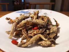 香煎金鞭溪小鱼-印象鲵宴·张家界地标美食名片(溪布街店)