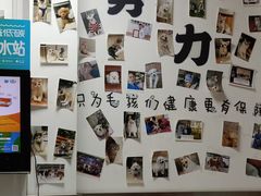 -宠福鑫动物医院(城北分院)