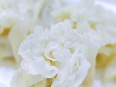-郭靖内蒙菜·烤全羊·烧烤(望京旗舰店)