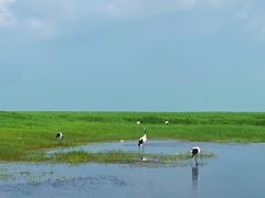 -黑龙江扎龙生态旅游区