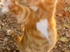 -红日饭店(裕隆三路店)