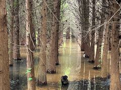 -捞渔河湿地公园