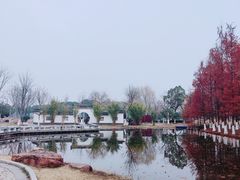 -金银湖国家城市湿地公园