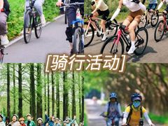 -栖露营camping·天幕烧烤·团建拓展·采摘营地