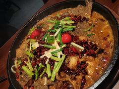 -老板恋上鱼(高新万达店)