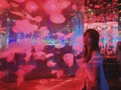 -石家庄海洋公园