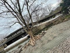 -苏州园林博物馆