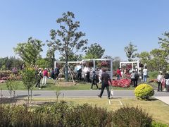 -上海植物园-4号门售票处