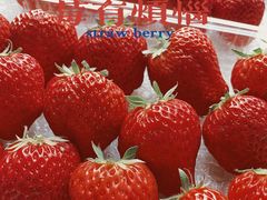 -Kpasta韩式意大利面