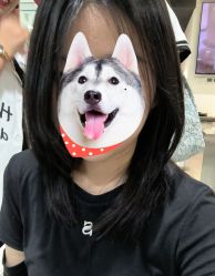-禾里設計