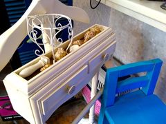 板凳-Sirena海妖日咖夜酒