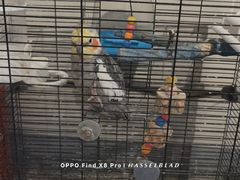 -隐工匠·银饰·烧玻璃DIY手工坊(蓝·芳华店)