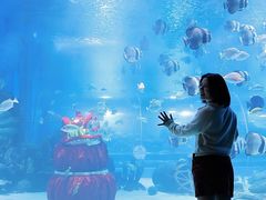-顺德南宏海立方海洋公园