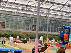 -西部长青自然儿童乐园