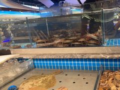 -一方渔歌蒸汽海鲜自助(文化路万达广场店)