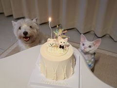 -你好独角兽·蛋糕甜品