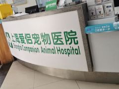 -爱侣宠医·鹦鹉专科·小型哺乳类·异宠专科(灵石路店)