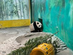 -杭州野生动物世界