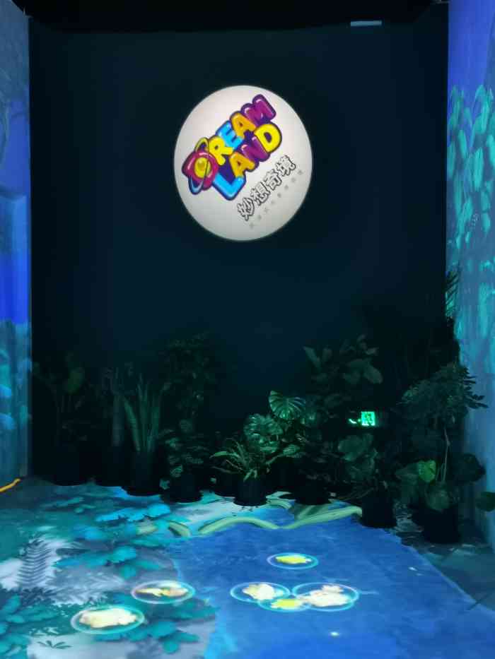 dream land萌芽熊妙想奇境-"真的是蛮小的,可玩性很一般,还好是早鸟票