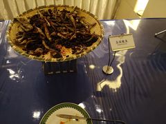 -西昌邛海宾馆