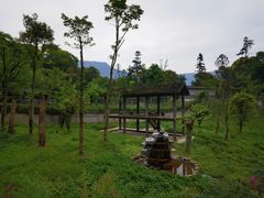 -碧峰峡风景区