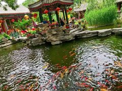 -白家大院·王府宫廷菜(苏州街店)