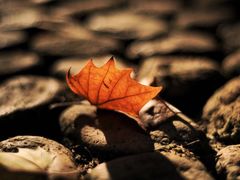 -青州市云门山风景区