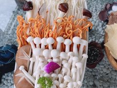 -慢丽江·云南野生菌土鸡锅(西山店)