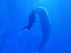 -多彩贵州城极地海洋世界