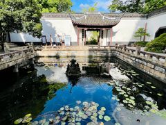 -上海醉白池公园