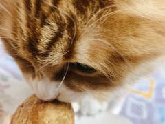 -西区老大房(愚园路店)